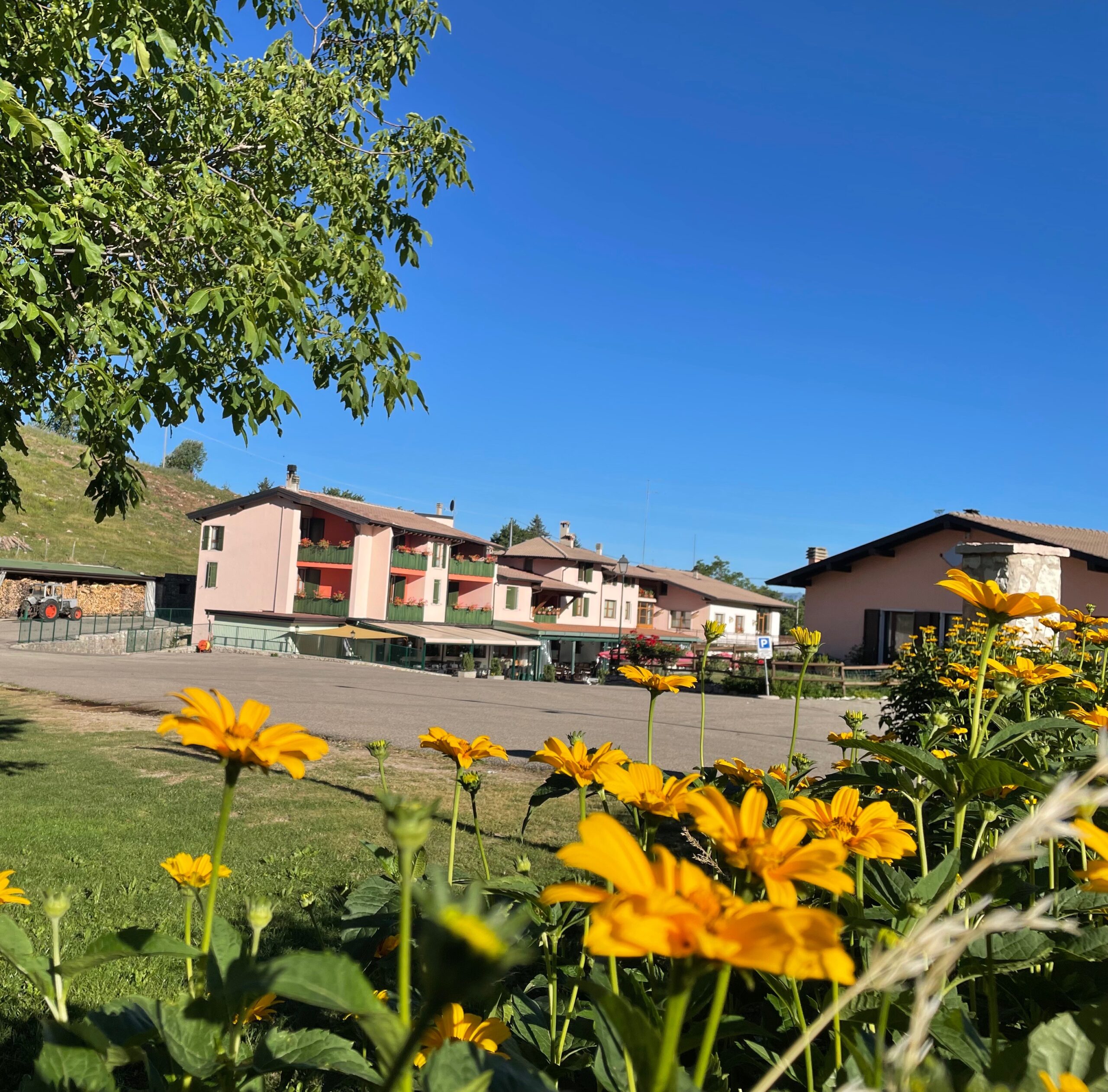 Hotel Edelweiss